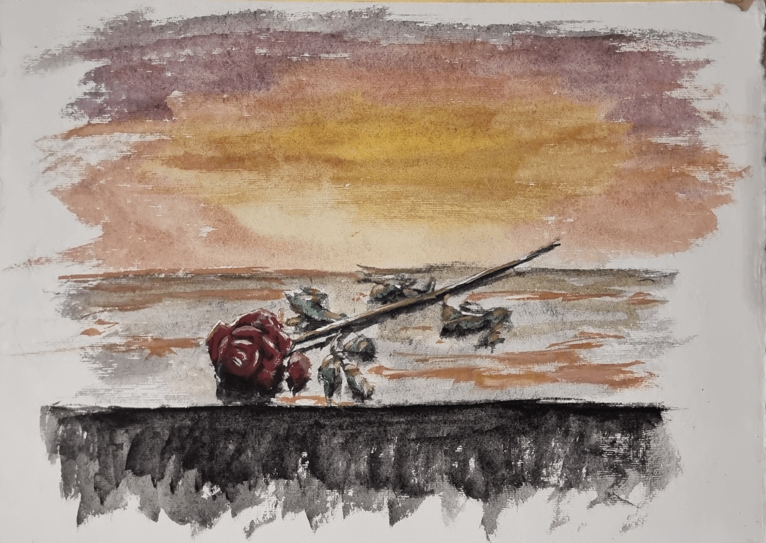 Rose auf Mauer, 2025